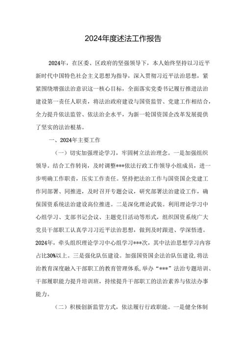 2024年度述法工作报告.docx