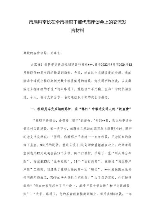 市局科室长在全市挂职干部代表座谈会上的交流发言材料.docx