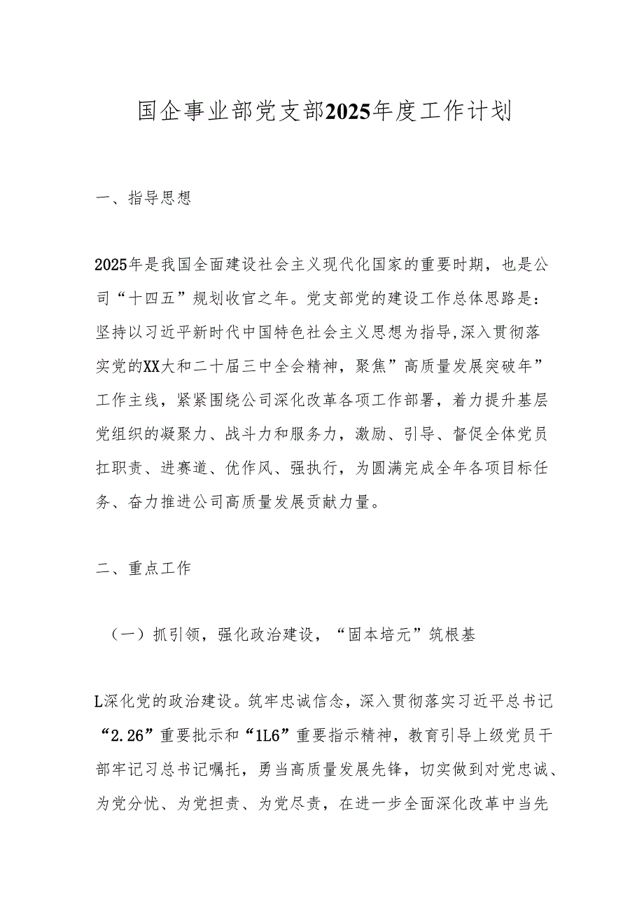 国企事业部党支部2025年度工作计划.docx_第1页