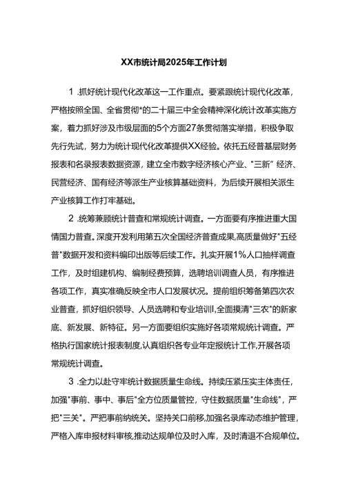 市统计局2025年工作计划.docx