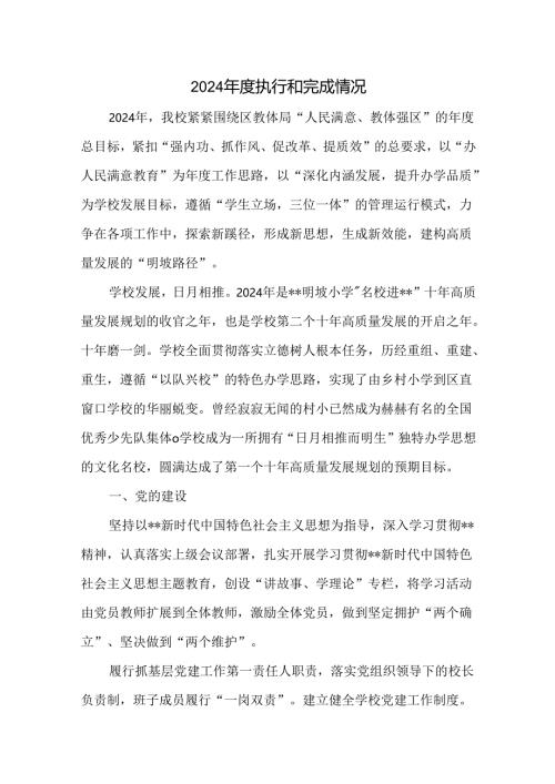 2024年度执行和完成情况.docx