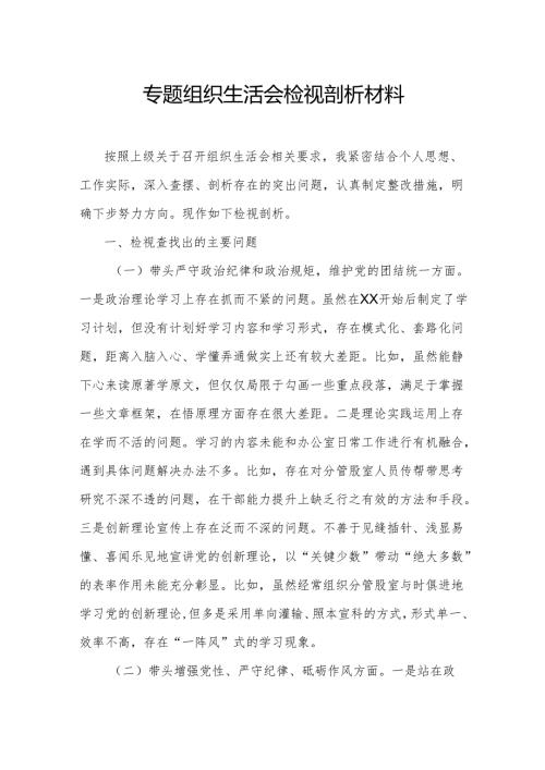 专题组织生活会检视剖析材料.docx