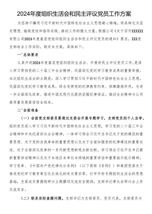 2024年度组织生活会和民主评议党员工作方案.docx