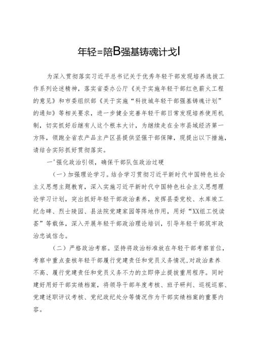 年轻干部强基铸魂计划.docx