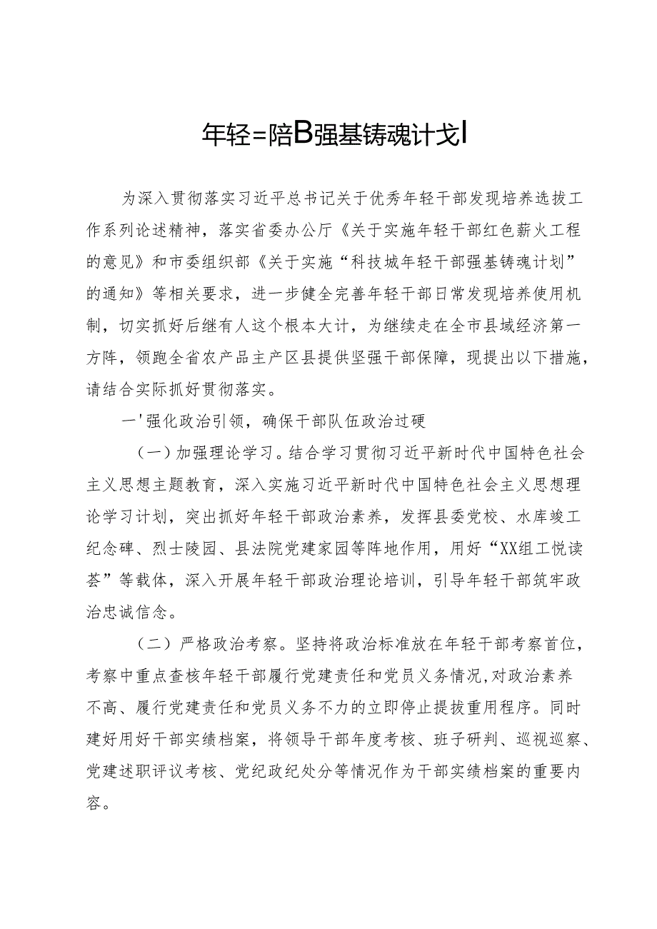 年轻干部强基铸魂计划.docx_第1页