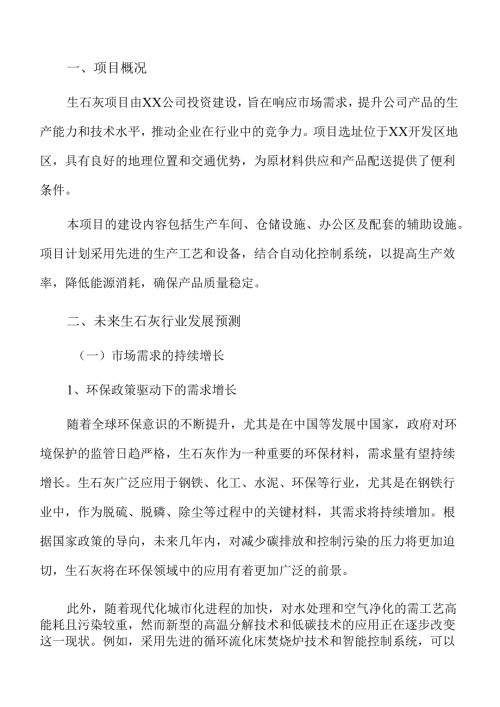生石灰项目建设规划方案（模板）.docx