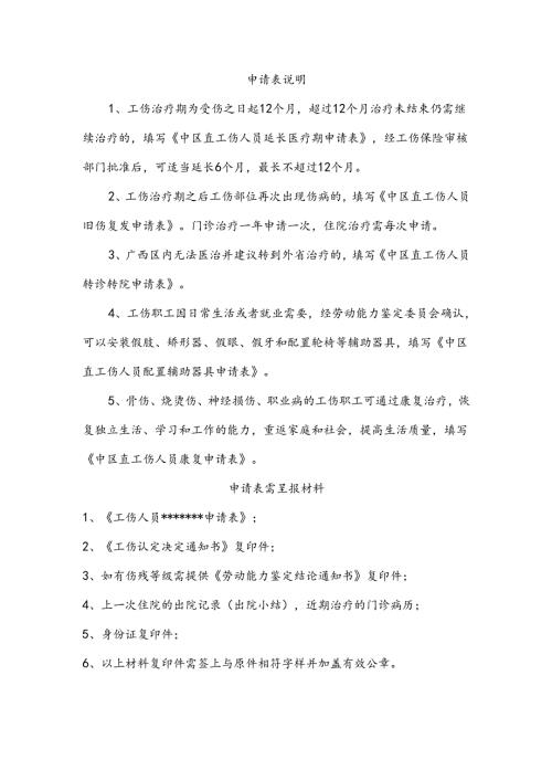 申请表说明.docx