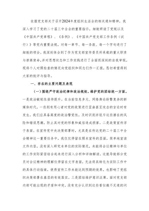 最新党支部宣传委员2024年组织生活个人四个带头检查材料检查发言材料word范文.docx