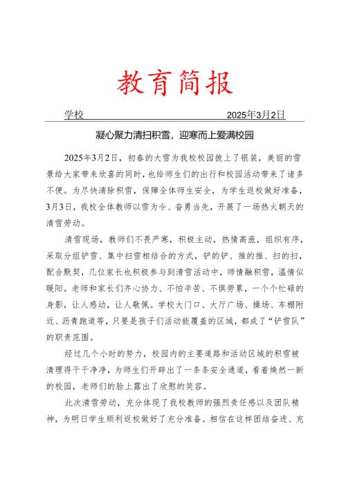 学校开展扫雪除雪活动简报.docx