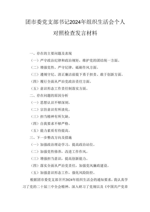 团市委党支部书记（2024年）组织生活会个人对照检查发言材料.docx