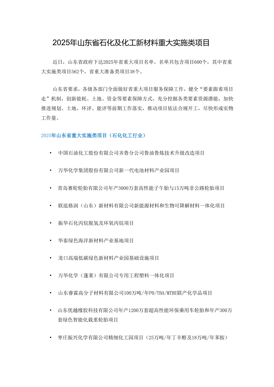 2025年山东省石化及化工新材料重大实施类项目.docx_第1页