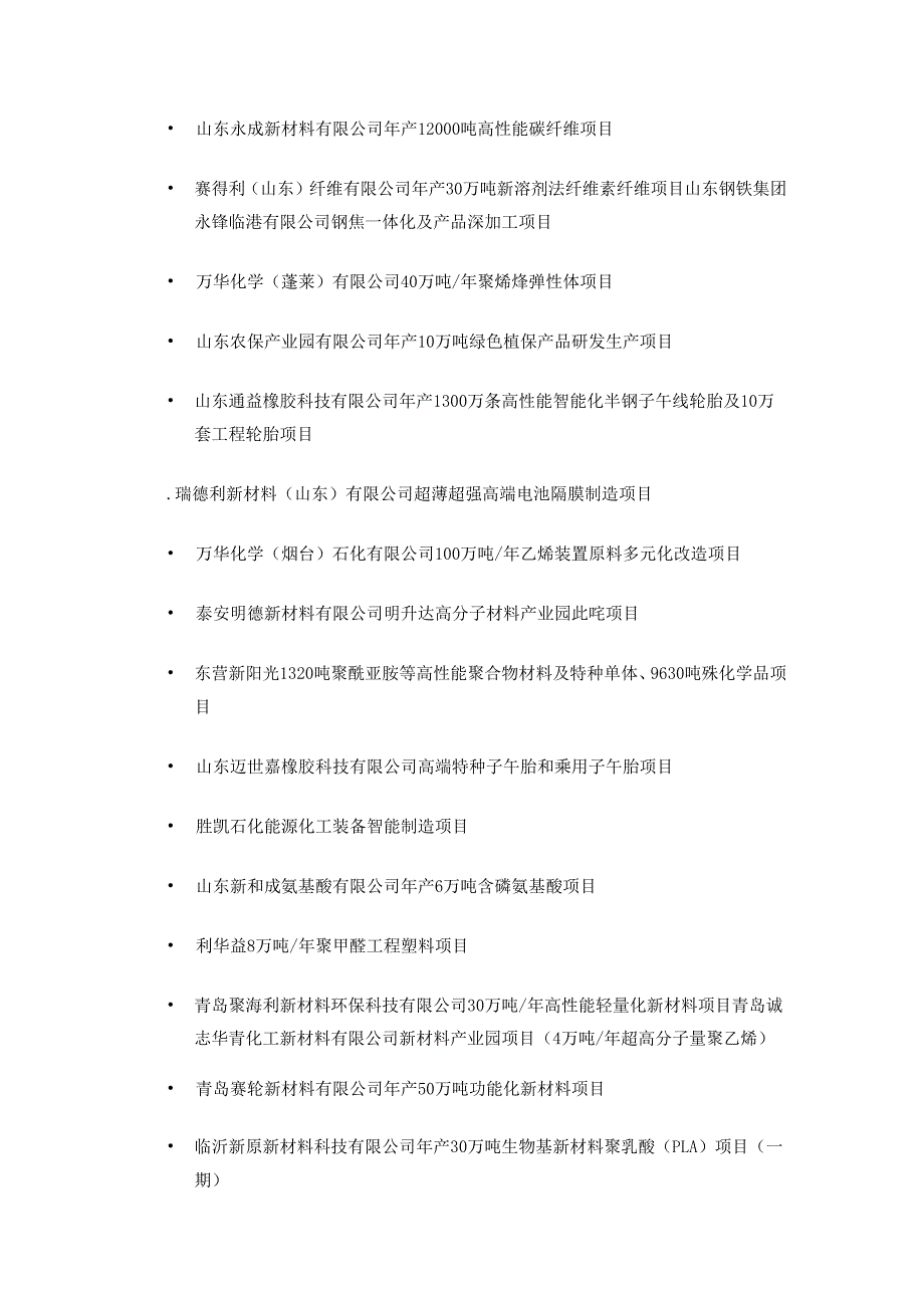 2025年山东省石化及化工新材料重大实施类项目.docx_第2页