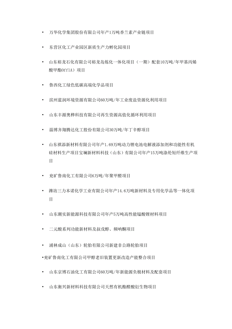 2025年山东省石化及化工新材料重大实施类项目.docx_第3页