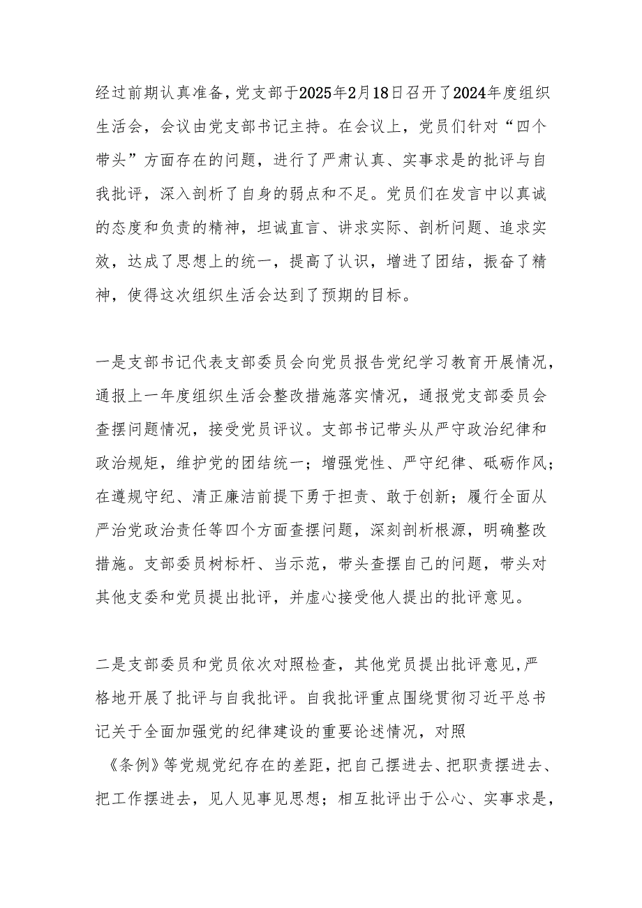党支部2024年度组织生活会召开情况报告.docx_第3页