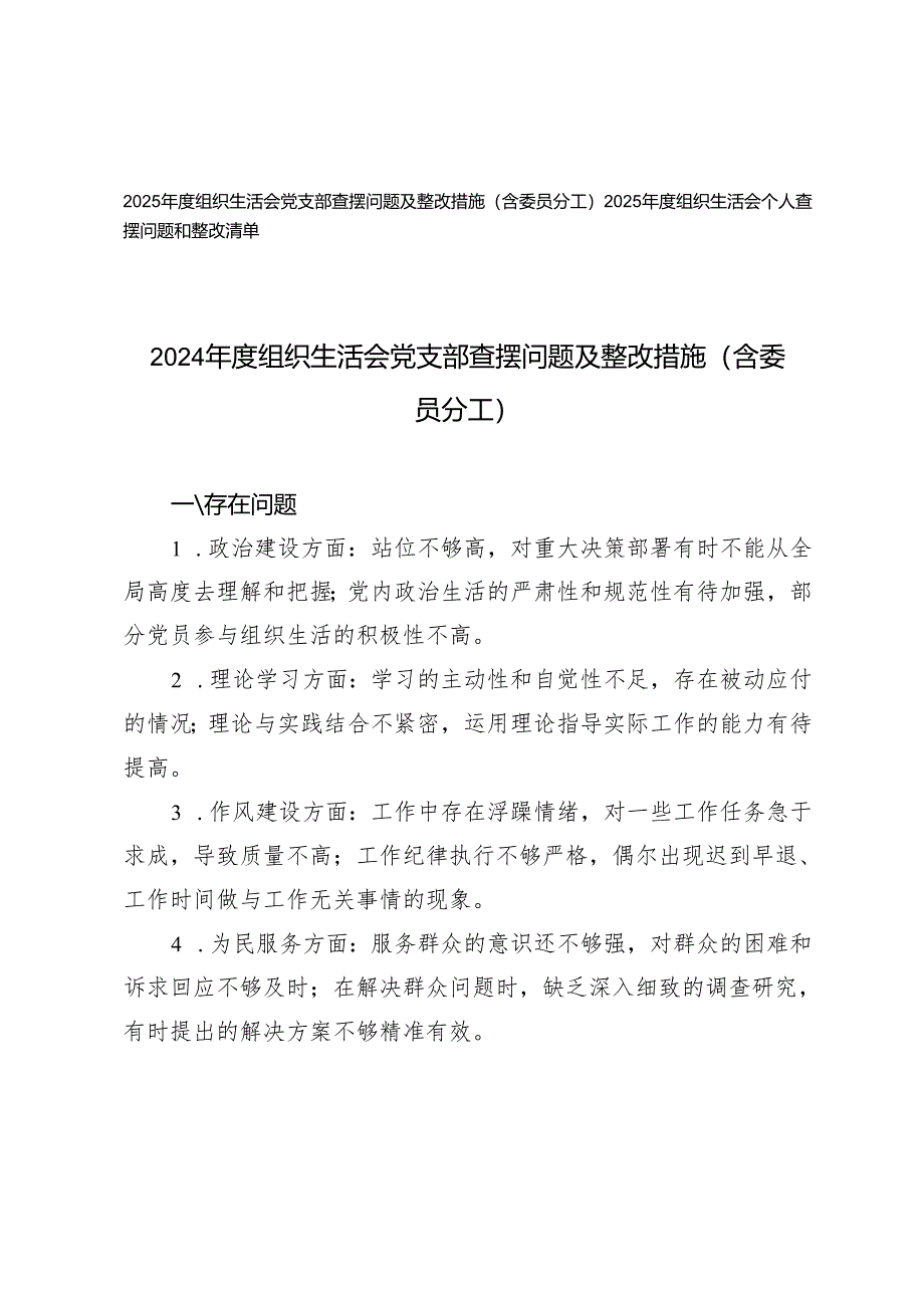 2024年度组织生活会党支部查摆问题及整改措施（含委员分工）+组织生活会个人查摆问题和整改清单.docx_第1页