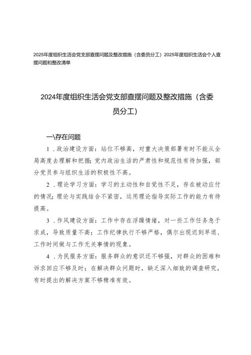 2024年度组织生活会党支部查摆问题及整改措施（含委员分工）+组织生活会个人查摆问题和整改清单.docx