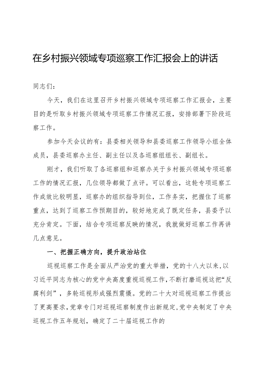 在乡村振兴领域专项巡察工作汇报会上的讲话.docx_第1页