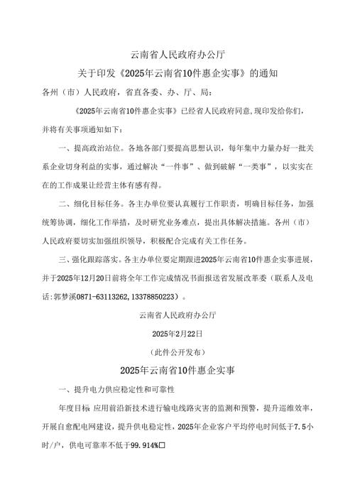 2025年云南省10件惠企实事（2025年）.docx