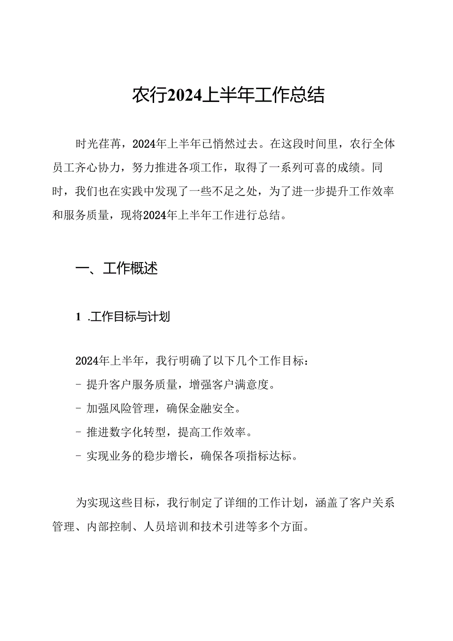 农行2024上半年工作总结.docx_第1页