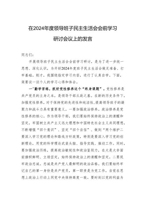 在2024年度领导班子民主生活会会前学习研讨会议上的发言.docx