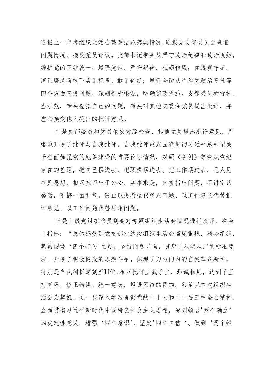党支部2024年度组织生活会召开情况报告材料.docx_第3页