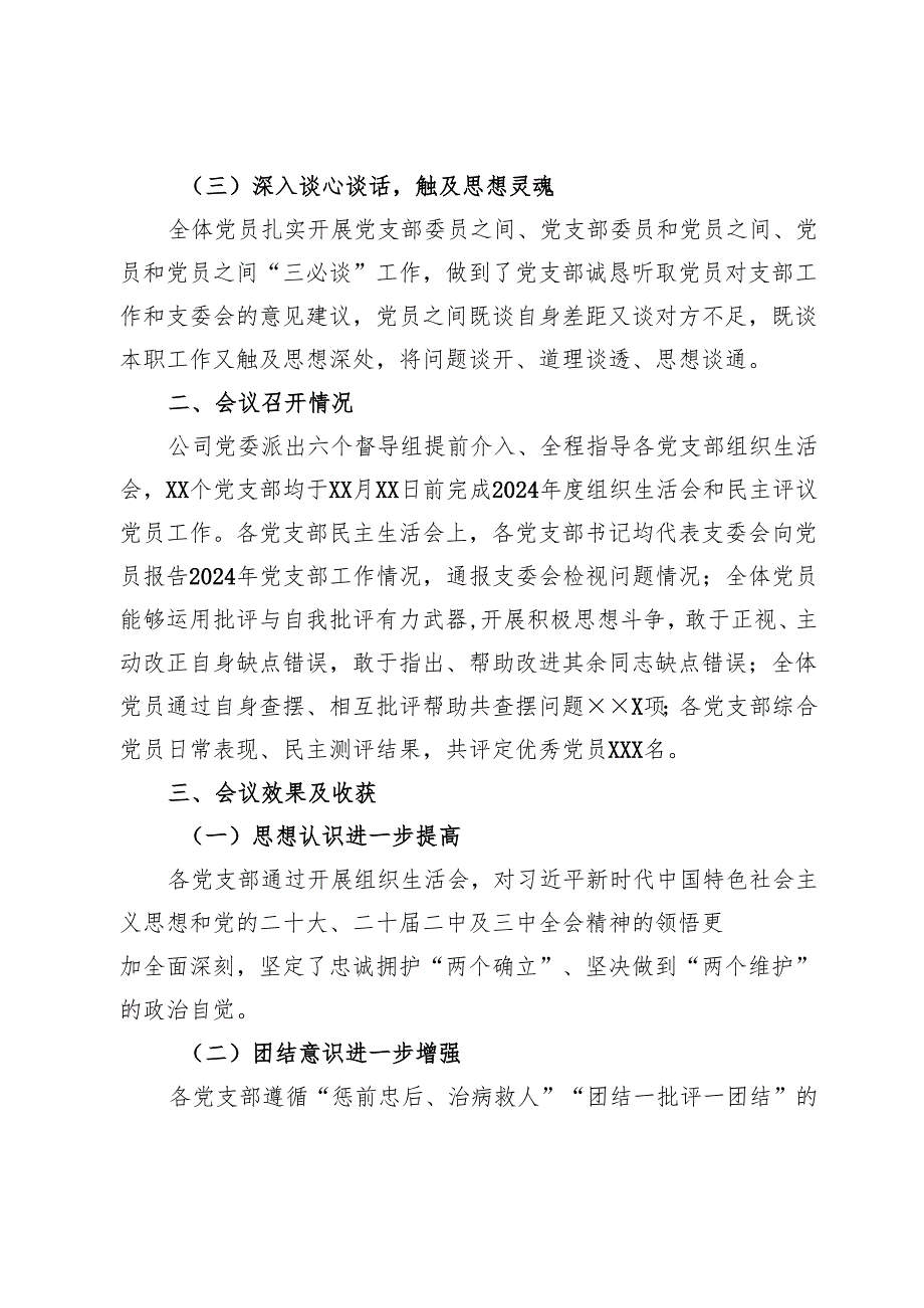 2024年度组织生活会和民主评议党员开展情况报告.docx_第2页