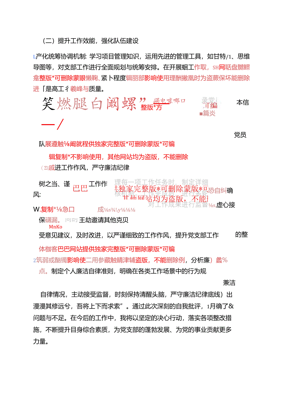 2025党支部书记自我批评与整改措施报告.docx_第3页