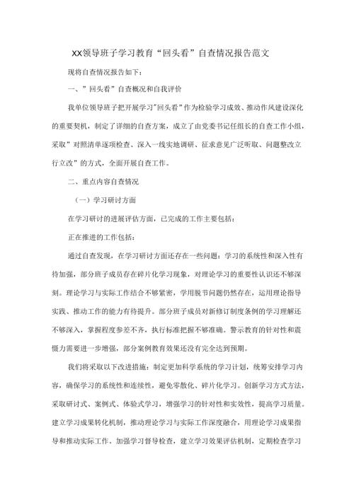 XX领导班子学习教育“回头看”自查情况报告范文.docx