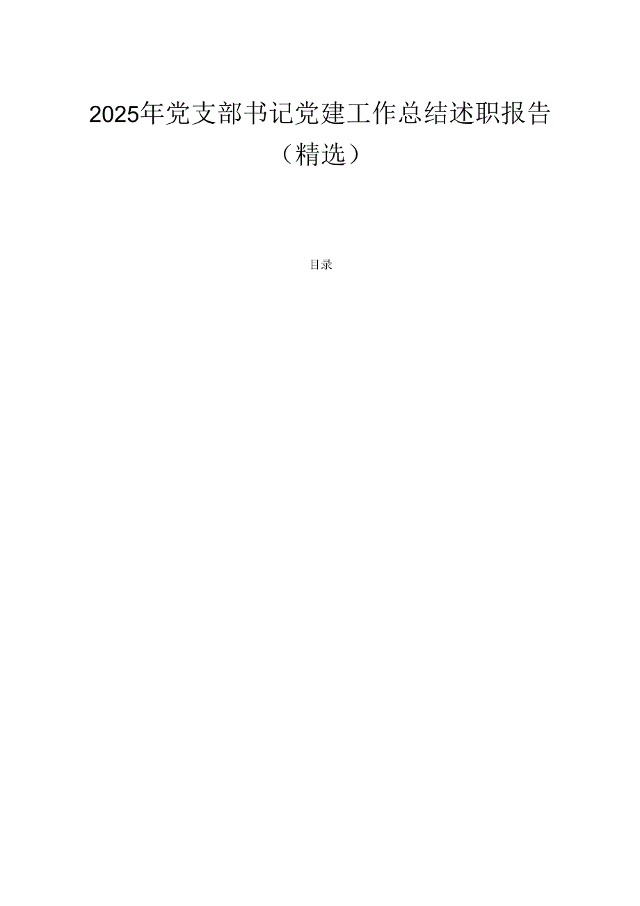 2025 年党支部书记党建工作总结述职报告（精选）.docx_第1页