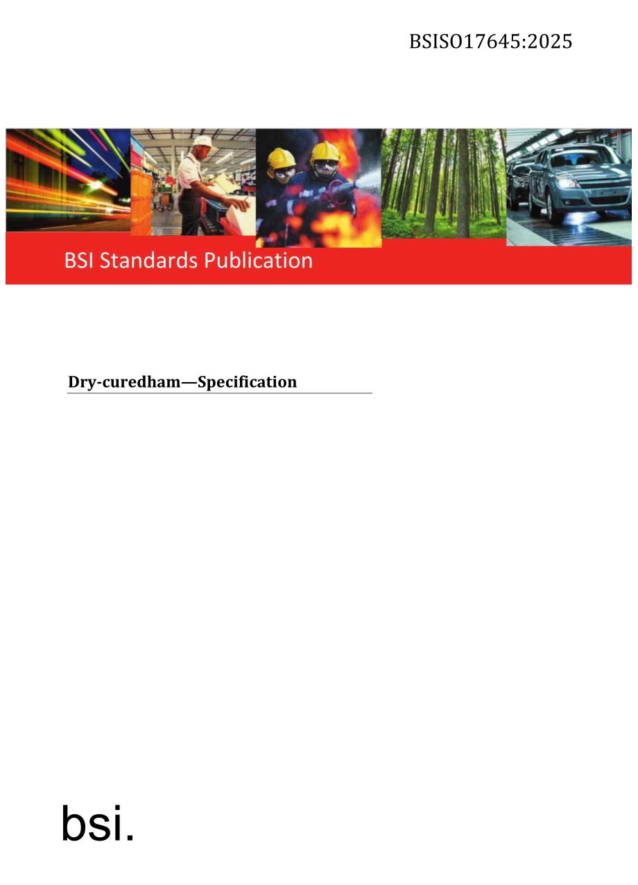 BS ISO 17645 2025.docx_第1页