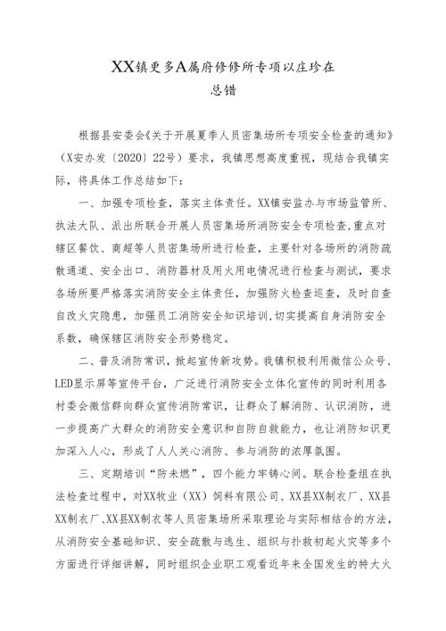 XX镇夏季人员密集场所专项执法检查总结.docx