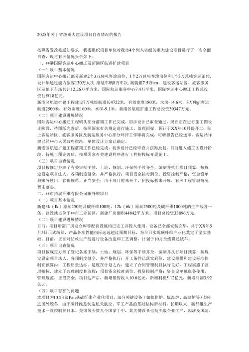 2025年关于省级重大建设项目自查情况的报告.docx