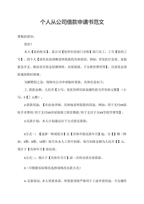 个人从公司借款申请书范文.docx