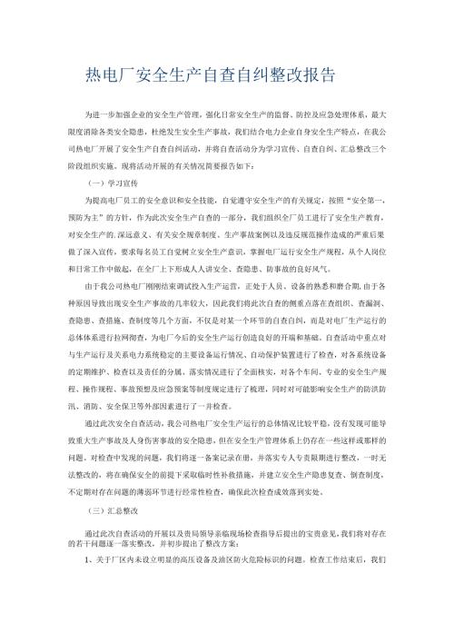 2025热电厂安全生产自查自纠整改报告.docx