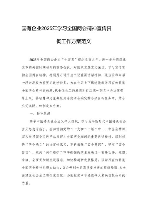 国有企业2025年学习全国两会精神宣传贯彻工作方案范文.docx