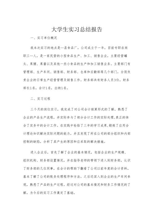 大学生实习总结报告.docx