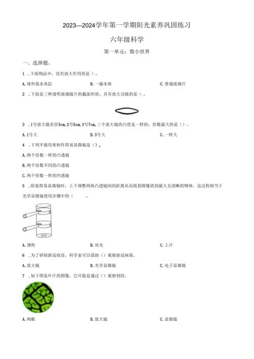 精品解析：2023-2024学年广东省深圳市南湾实验小学教科版科学六年级上册第一单元 微小世界科学试卷（原卷版）.docx