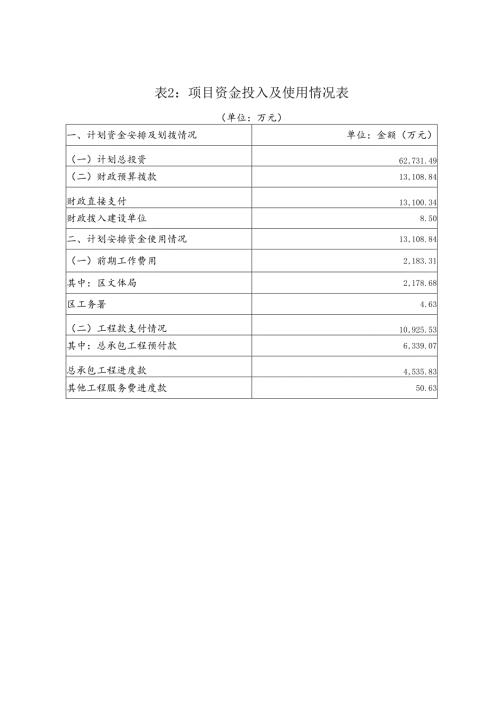 项目资金投入及使用情况表.docx