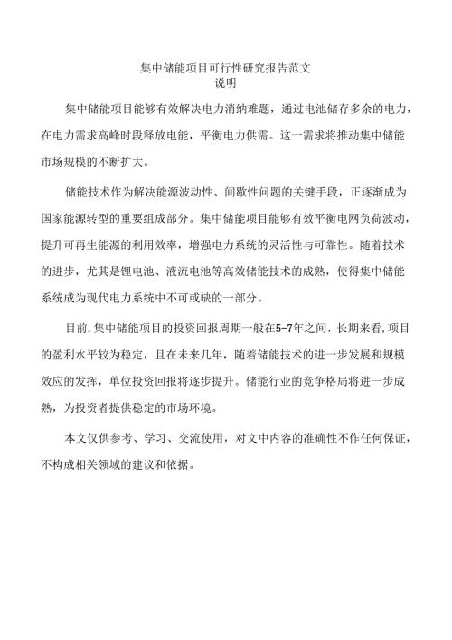 集中储能项目可行性研究报告范文.docx