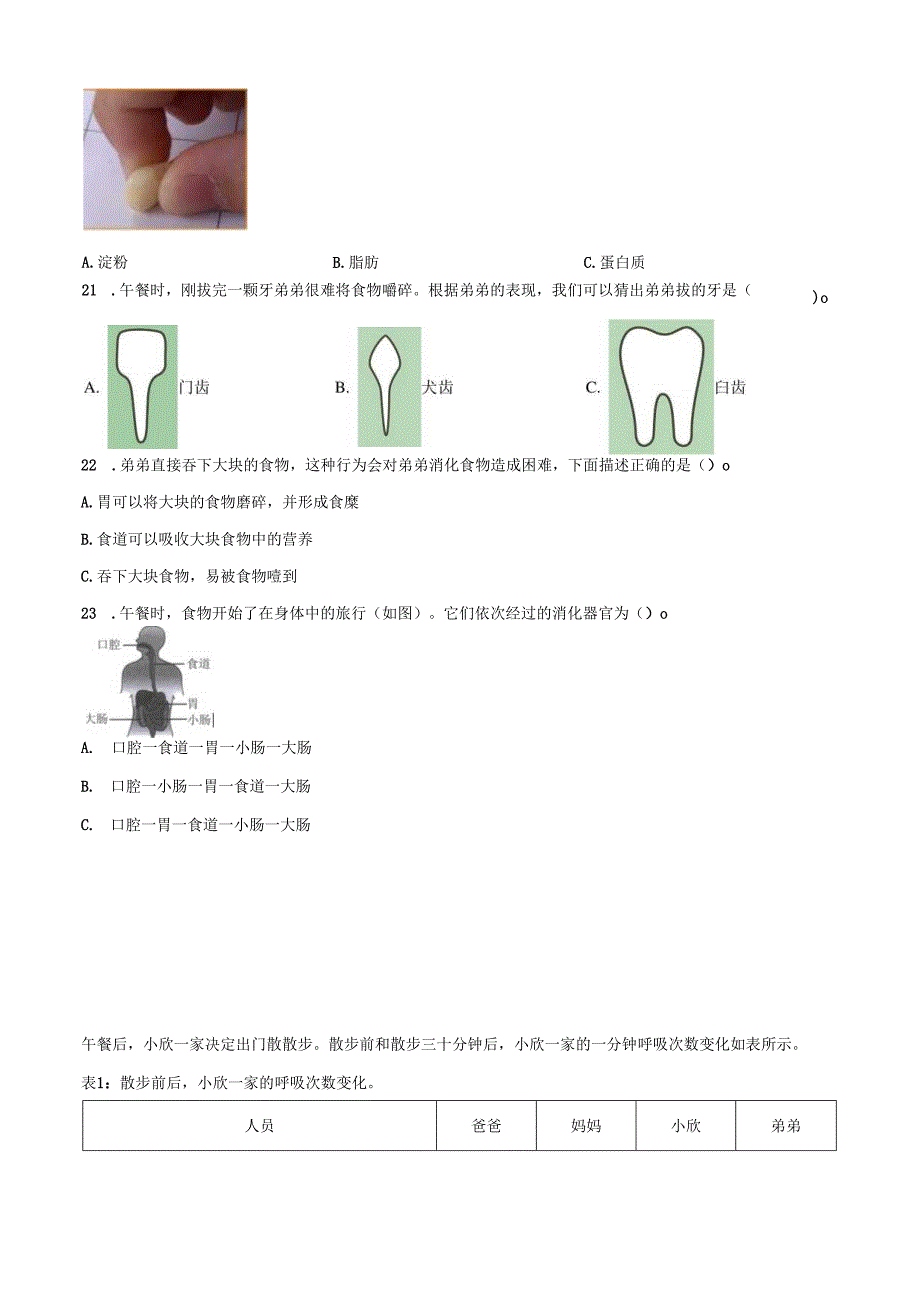 精品解析：2022-2023学年广东省深圳市教科版四年级上册期末考试科学试卷（原卷版）.docx_第3页