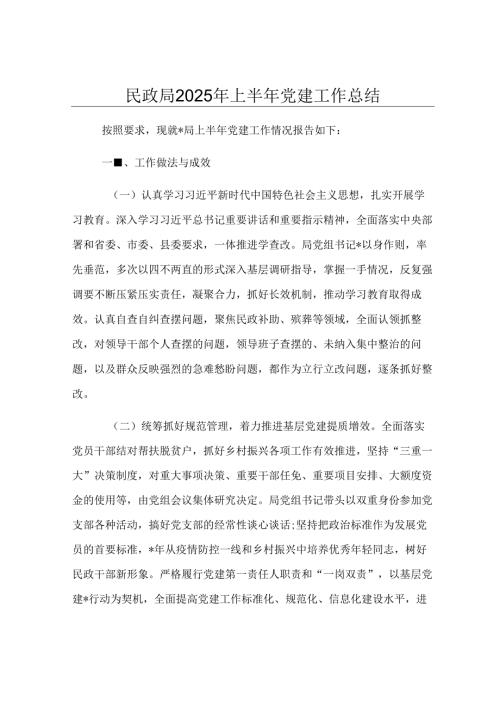 民政局2025年上半年党建工作总结.docx