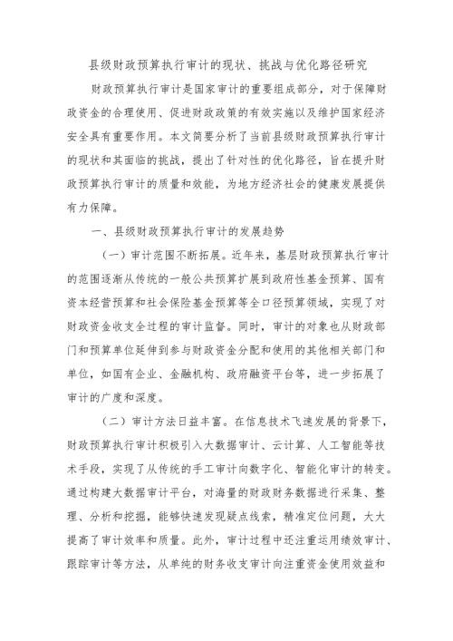 县级财政预算执行审计的现状、挑战与优化路径研究.docx