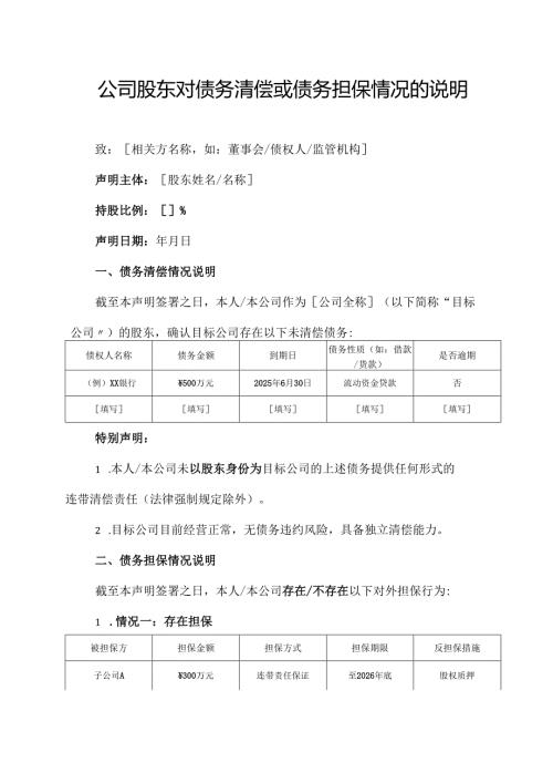 公司股东对债务清偿或债务担保情况的说明模板.docx
