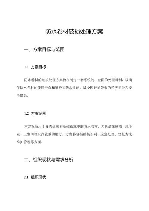 防水卷材破损处理方案.docx