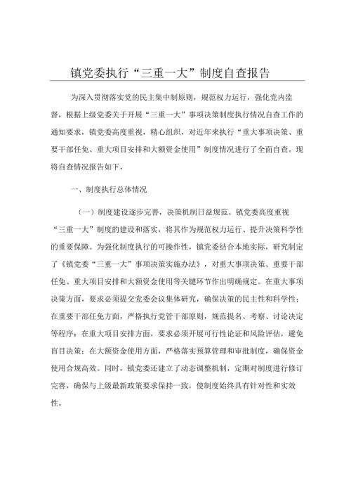 镇党委执行“三重一大”制度自查报告.docx