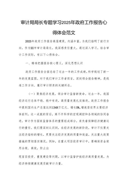 审计局局长专题学习2025年政府工作报告心得体会范文.docx