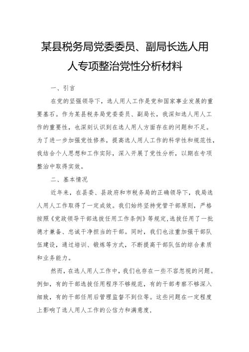 某县税务局党委委员、副局长选人用人专项整治党性分析材料1.docx