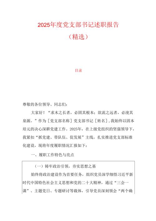 2025 年度党支部书记述职报告.docx