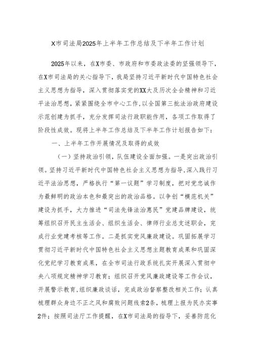 X市司法局2025年上半年工作总结及下半年工作计划.docx