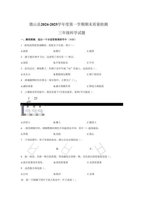 2024-2025学年山东省济宁市微山县青岛版三年级上册期末考试科学试卷.docx